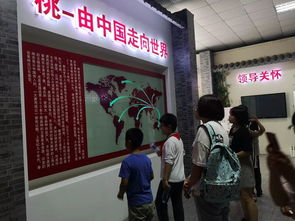 桃香引巧思，非遺潤童心——奉賢錢橋學校暑期親子體驗活動側記